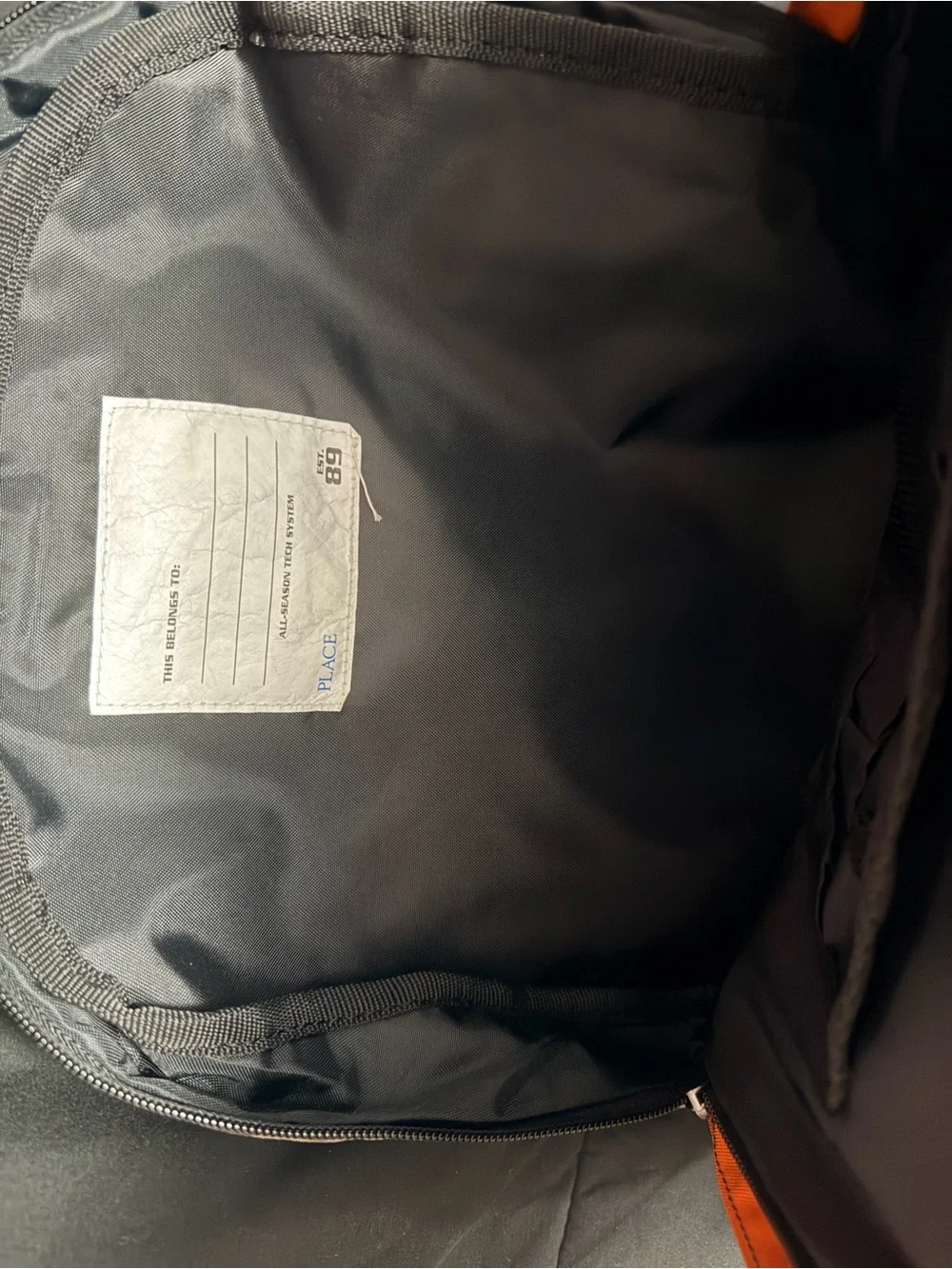 The Children placed Boys Multicolor Backpacks for kids